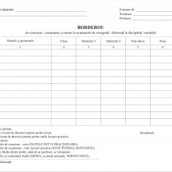 Alte registre si tipizate scolare