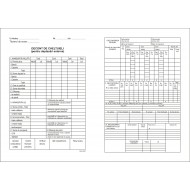Decont cheltuieli transport extern