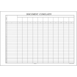 Document cumulativ A4 - orizontal