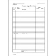 Raport de gestiune zilnic - autocopiativa