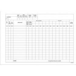 Registru de Casa A4 - valuta Registru de Casa A4 - valuta