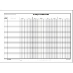 Balanta de verificare A3