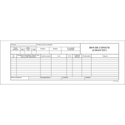 Bon de consum A5 - autocopiativ 2 ex