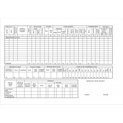 Fisa activitatii zilnice la autovehicule A4 Fisa activitatii zilnice la autovehicule A4