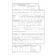 Foaie de parcurs - transport marfa A4 - inseriata